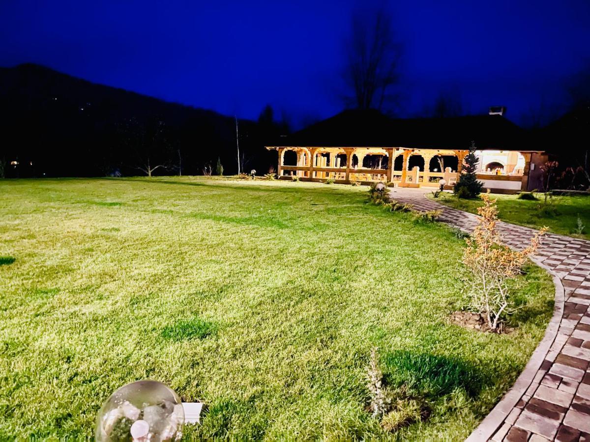 Pensiunea Coronita Viseu de Sus Bagian luar foto