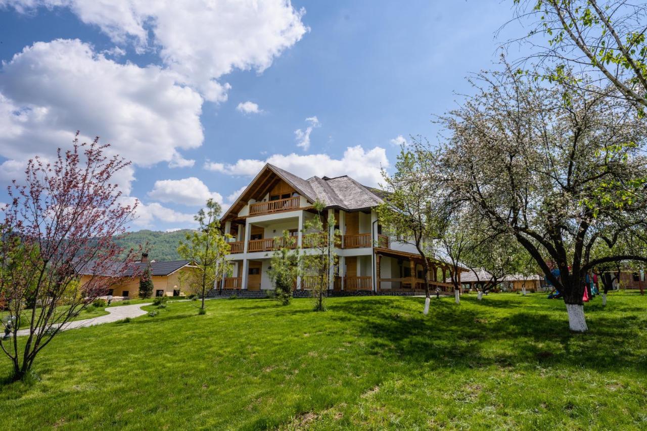 Pensiunea Coronita Viseu de Sus Bagian luar foto