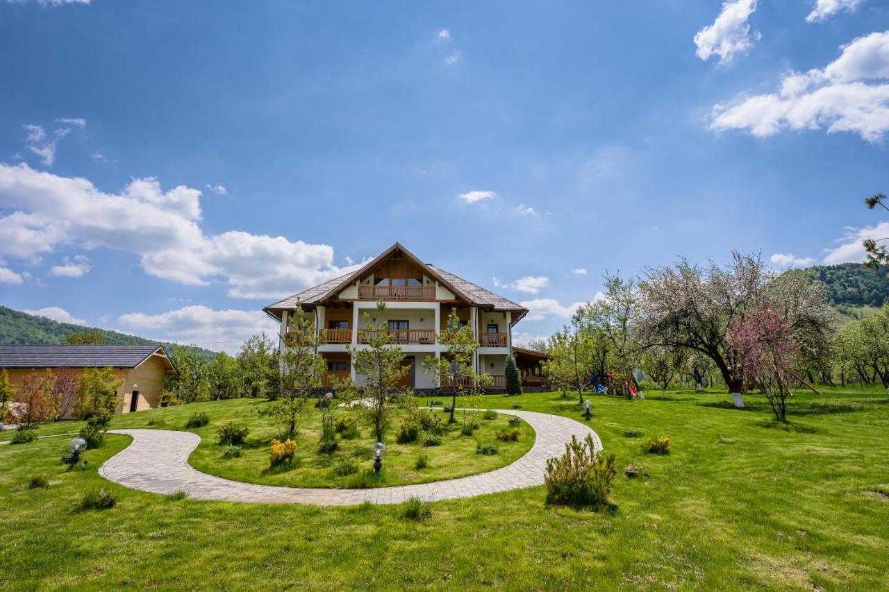 Pensiunea Coronita Viseu de Sus Bagian luar foto